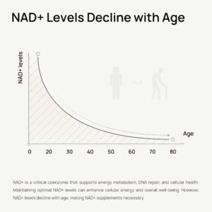 Kako NMN utiče na nivo NAD+ u organizmu? 1 71X F9e0tL